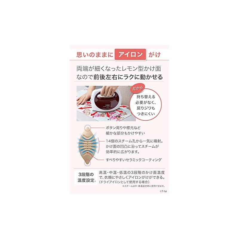 分 衣類スチーマー