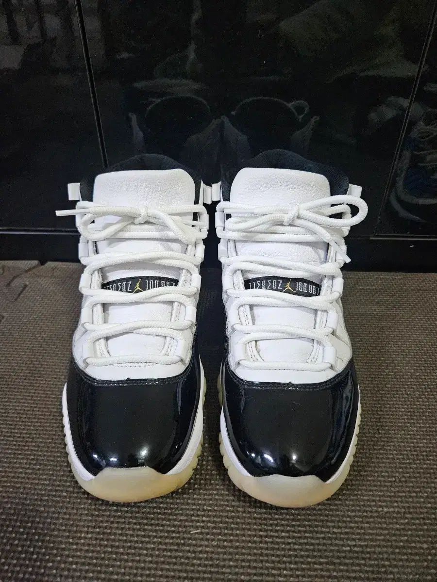 ジョーダン11 グラティチュード 260