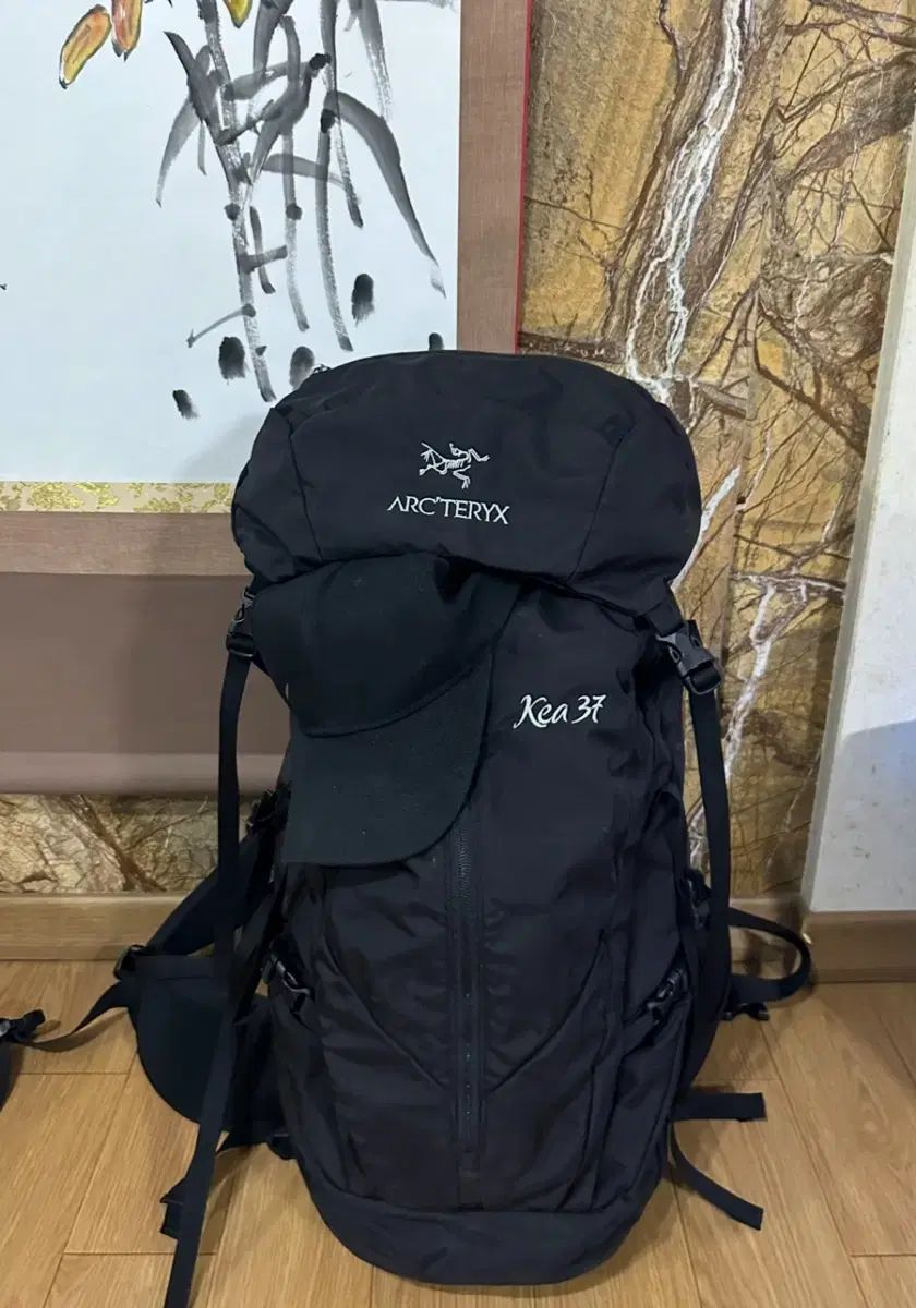 ARC TERYX アークテリクス バックパック キア37