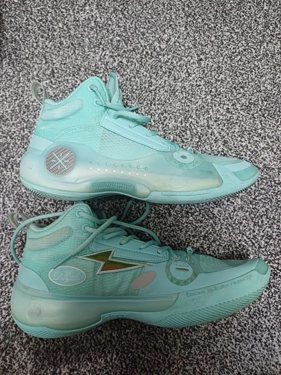 バスケシューズ way of wade 10 wow us 8 5