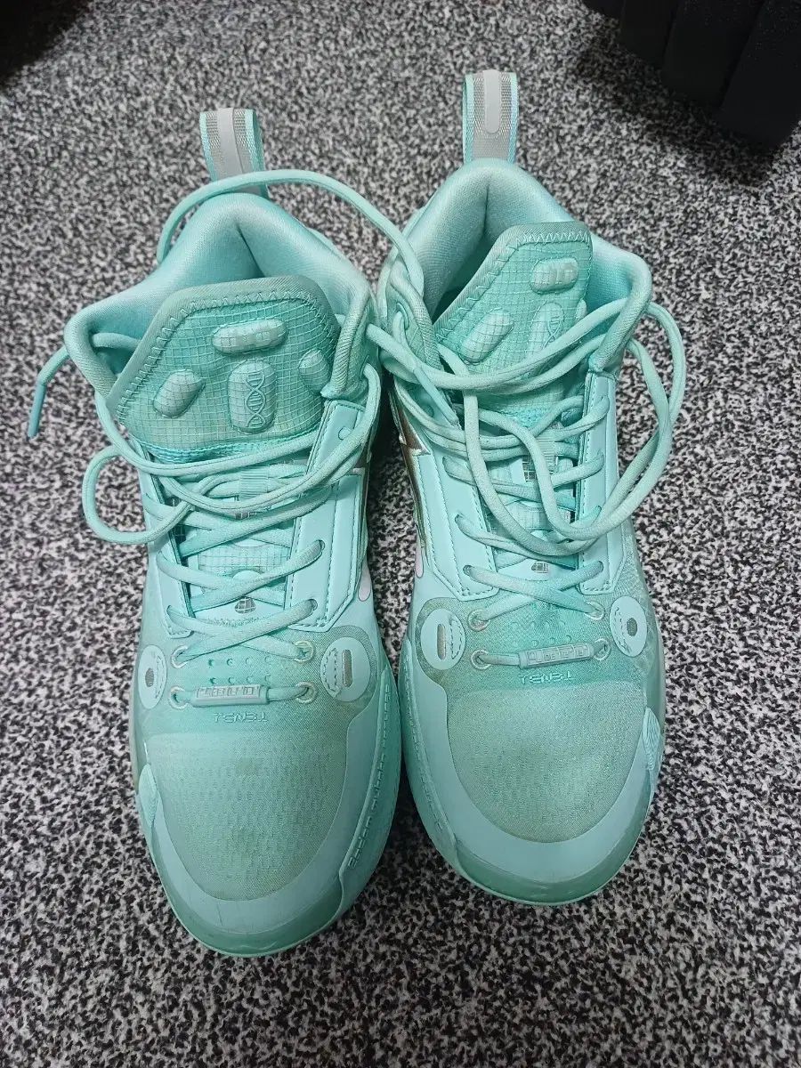 バスケシューズ way of wade 10 wow us 8 5