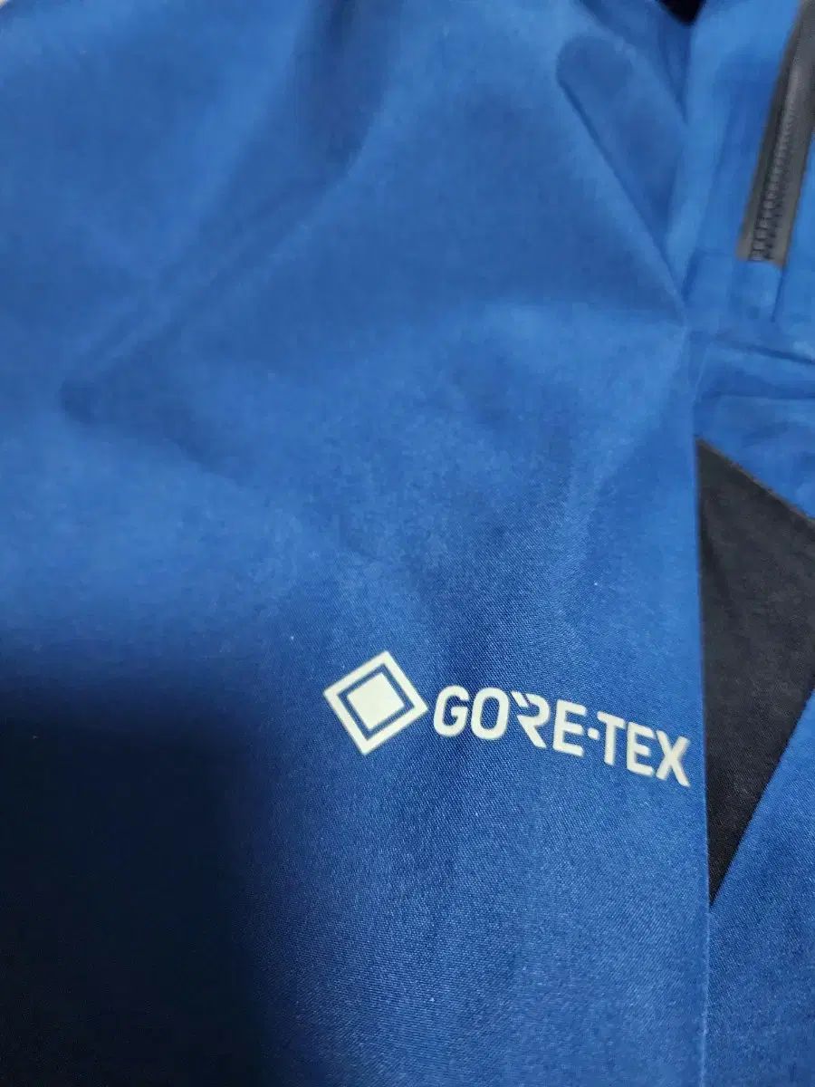  SALOMON ゴアテックス ウィンドブレーカー L その他 アウター