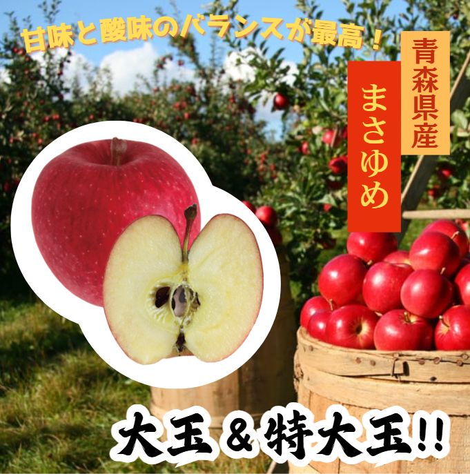 食品 ☆期間限定☆青森県産 まさゆめ 激レア りんご 大玉＆特大