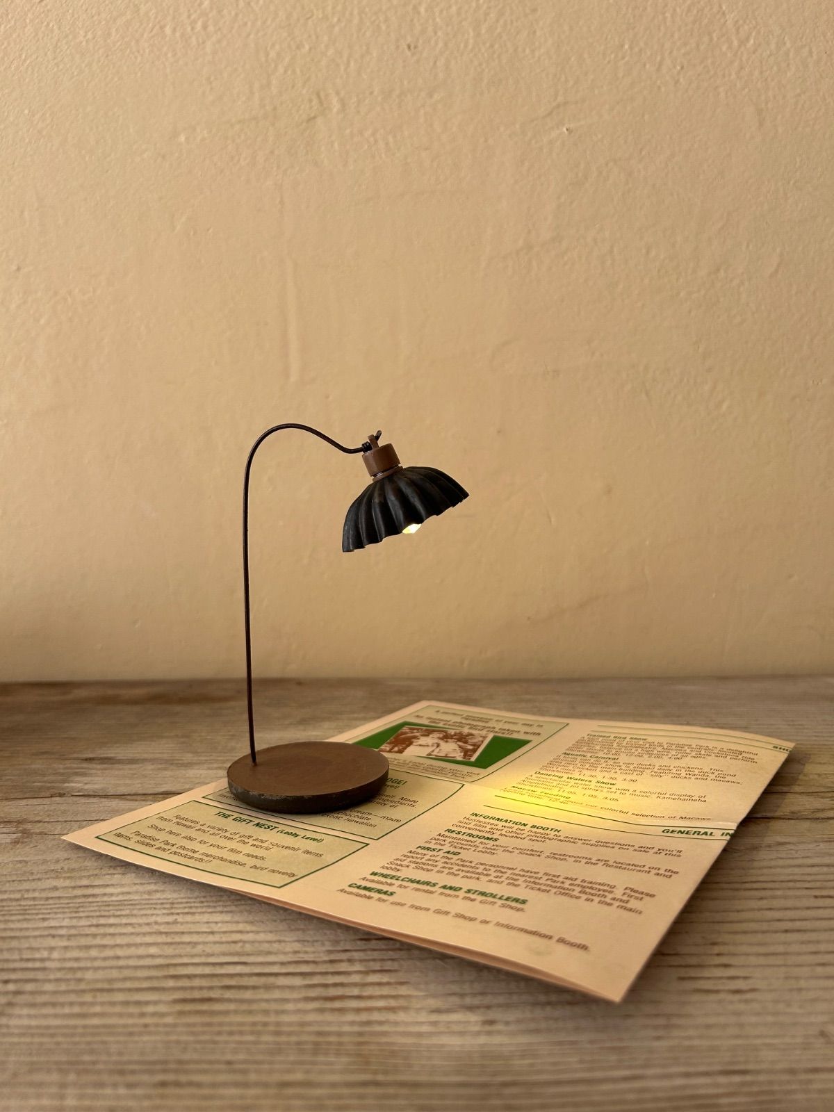 ヴェルリッチ2本