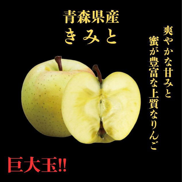 食品 ☆期間限定☆青森県産 きみと 激レア りんご 巨大玉 家庭