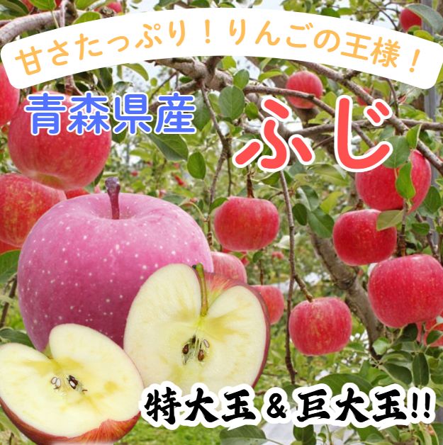 ★予約品★青森県産 ふじ りんご 巨大玉入 家庭用 5箱分 ☆期間限定☆青森県産 ふじ りんご 特大玉&巨大玉 家庭用 6~8玉 ㉖