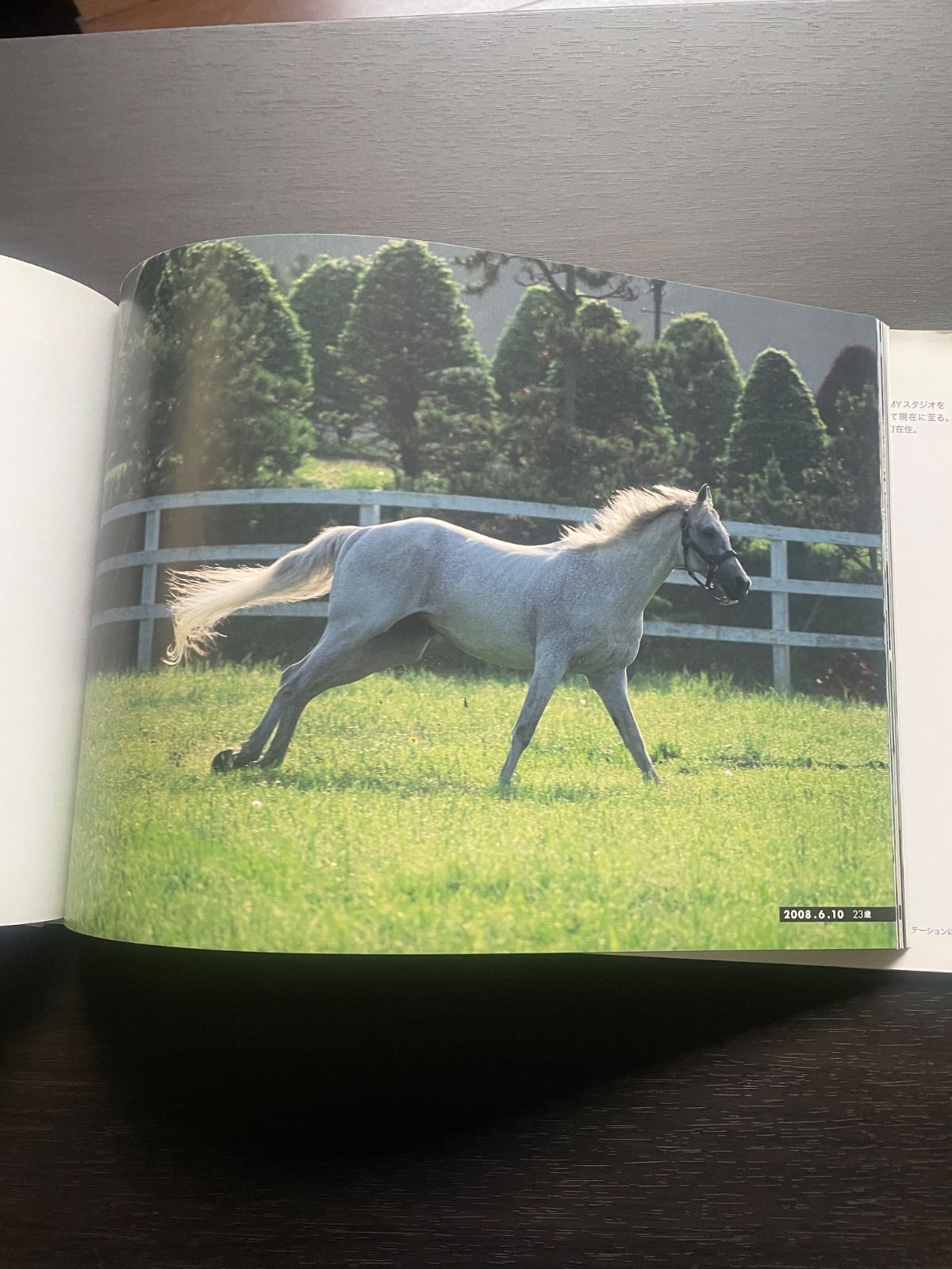 白の時間 名馬オグリキャップ 引退後二十年の日々 内藤律子写真集
