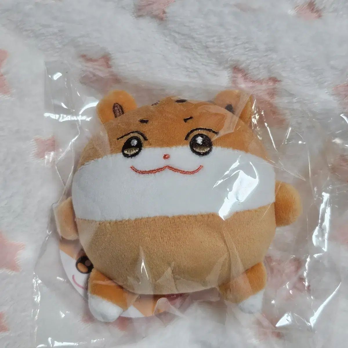 150cm用上部フィルター とレイシーP-425sポンプ