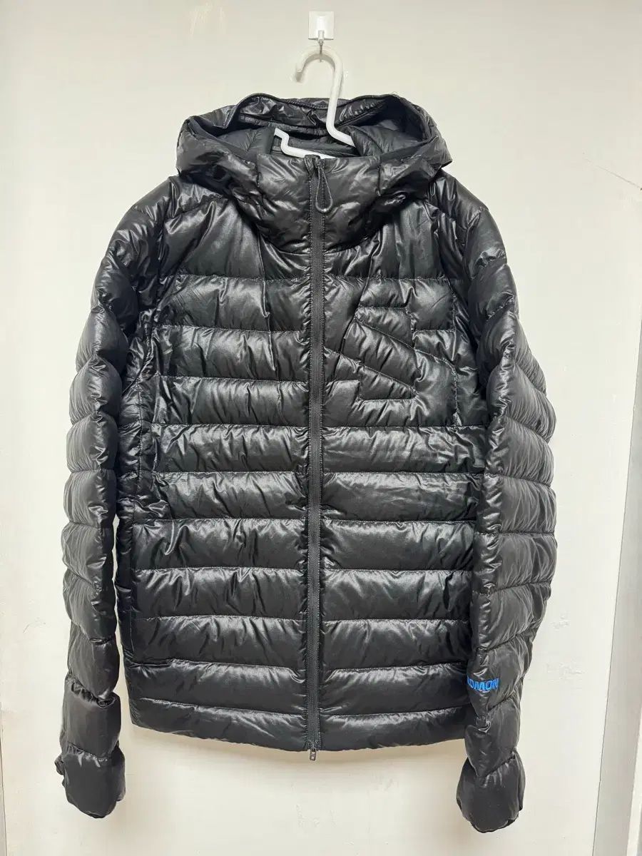 サロモン エクスフューズ ダウン M