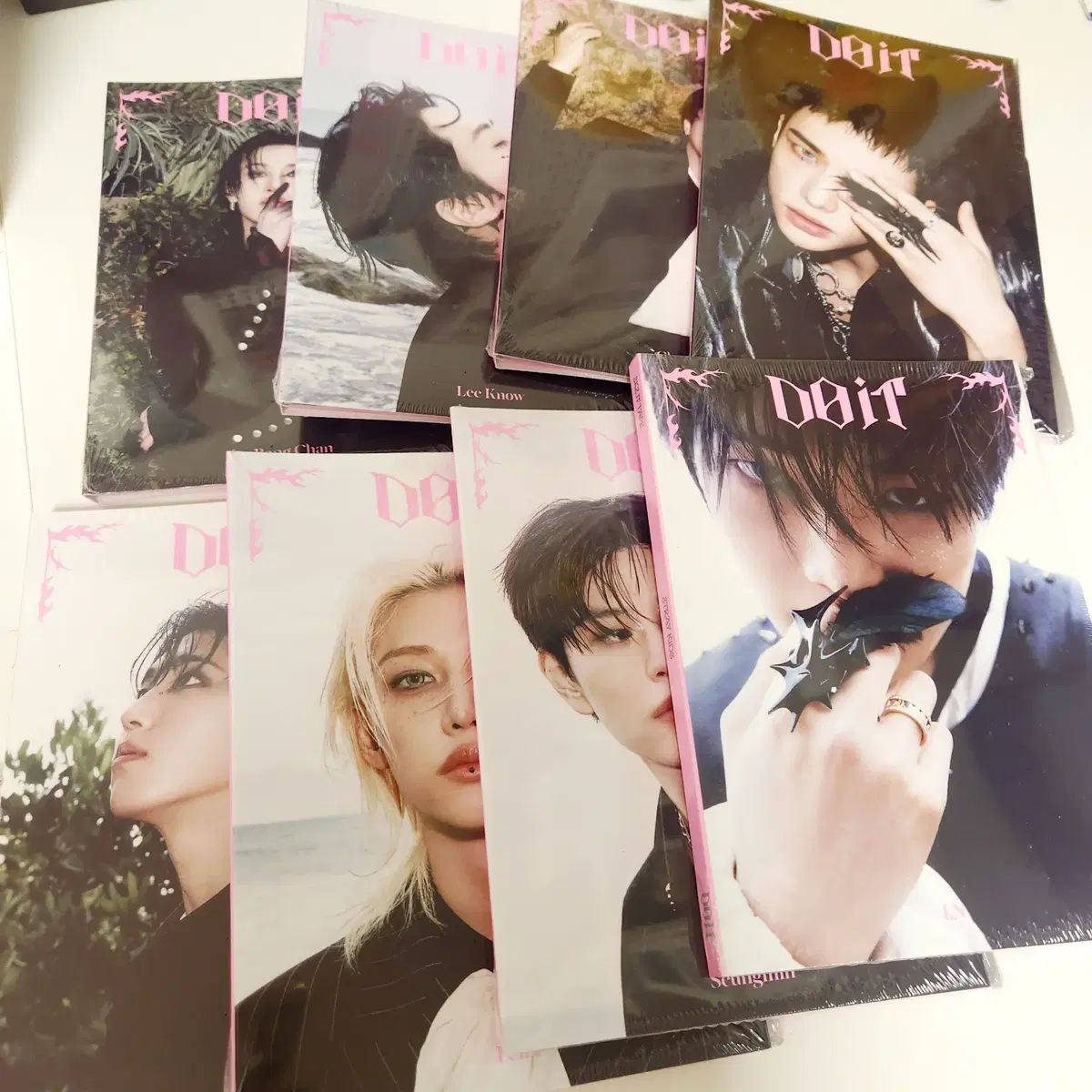 Stray Kids ストレイキッズ スキズ SKZ Do It アコーディオン アルバム 8種 まとめ