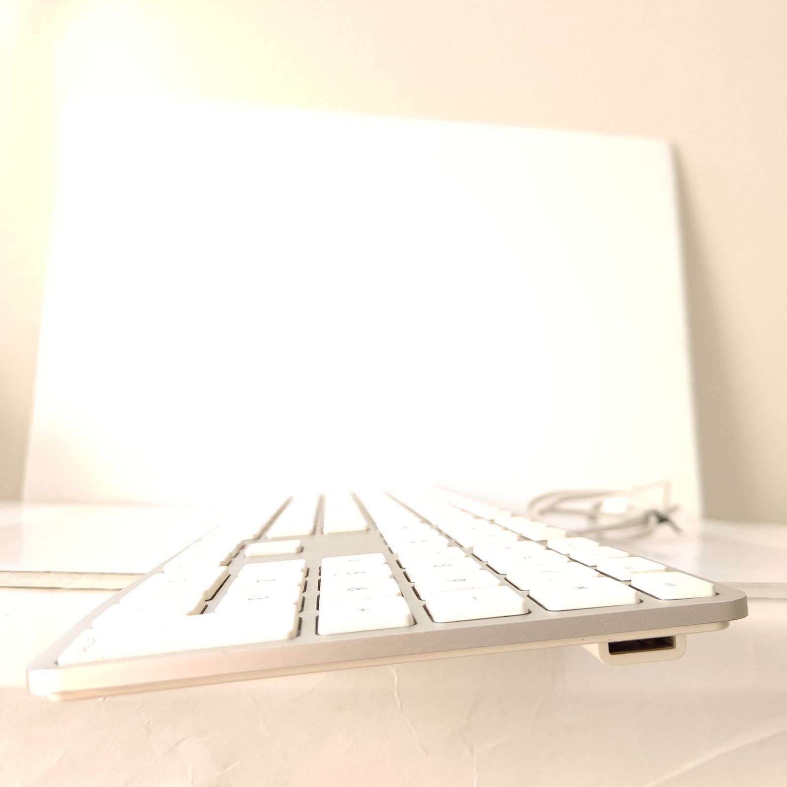 Apple 純正 有線キーボード A1243 アップル Mac テンキー付 美品