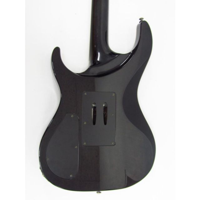 Washburn ワッシュバーン Parallaxe Series PXS20 FRTBB エレキギター