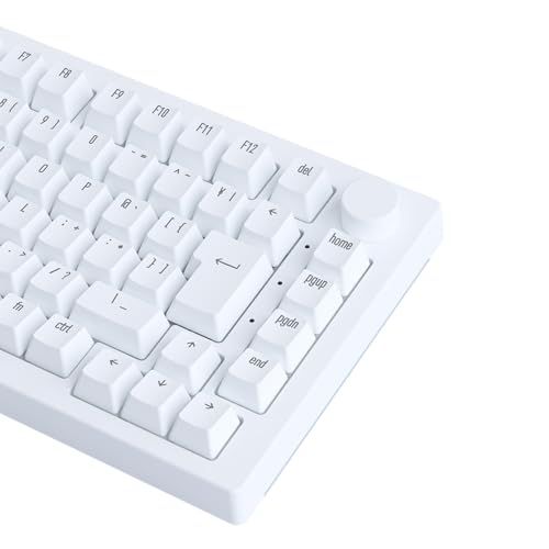 Akko アッコ ラピッドトリガー 8000 Hz ゲーミングキーボード 5075 S HE JP Moon Light White 磁気スイッチ 75 日本語配列 JISキー SnapKeys SOCD 対応 Mac Windows両対応po