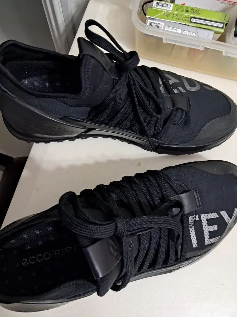 Ecco BIOM 黒色 スニーカー