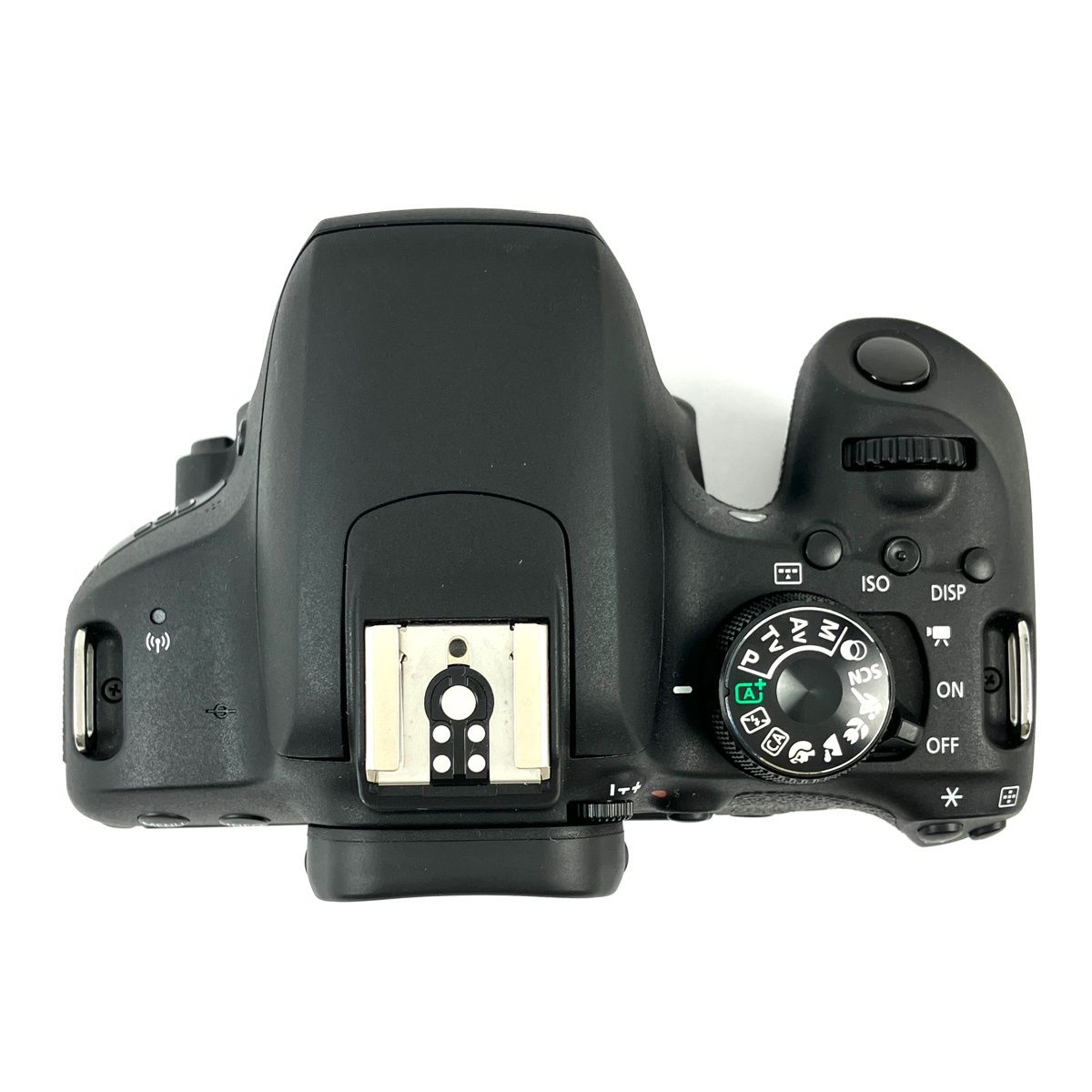 デジタル 一眼レフカメラ