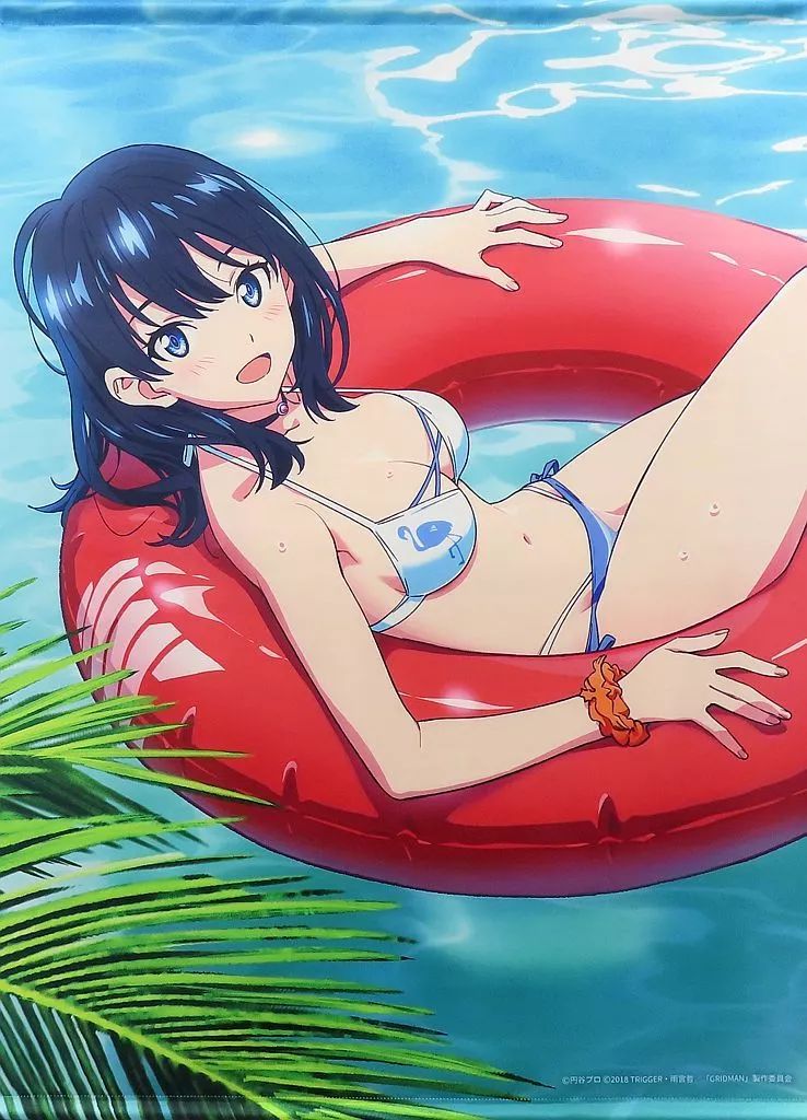 DMMスクラッチ グリッドマン A賞 宝多六花 等身大タペストリー 2種 新品② 中古】タペストリー 宝多六花 等身大タペストリー 「DMMスクラッチ! TV