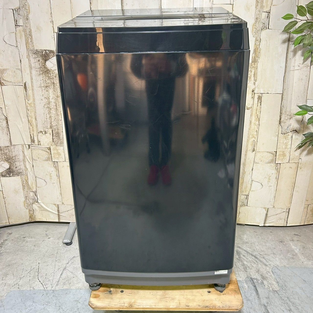  製 NITORI ニトリ 洗濯機 8 0 kg インバーター 縦型洗濯機本体 縦型洗濯機