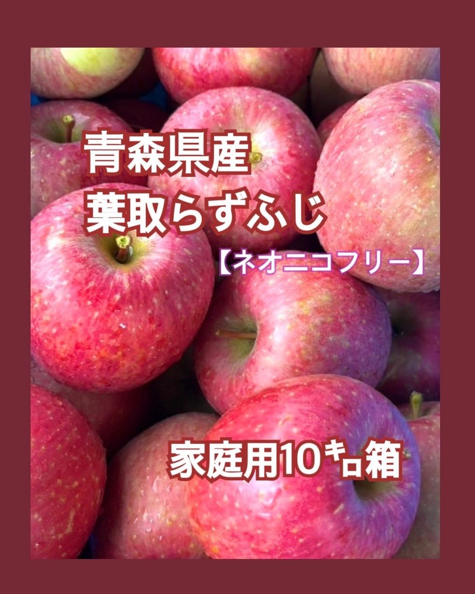富士山絵画セール｜神界 龍雲 天照大御神 次元上昇開運アート金額縁付