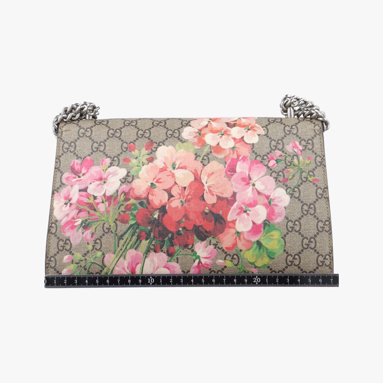 グッチGucciディオニュソス ベージュ×レッド×マルチ PVCコーティングキャンバス 400249