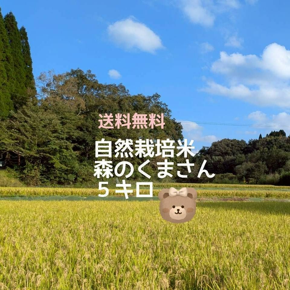 ☆自然栽培米 玄米5kg 令和7年度熊本県産 森のくま