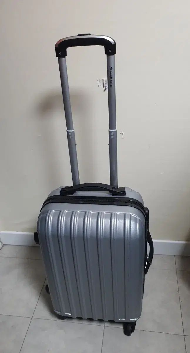 アナルド バッシーニ Arnaldo Bassini 20インチ HARD キャリアー 機内用