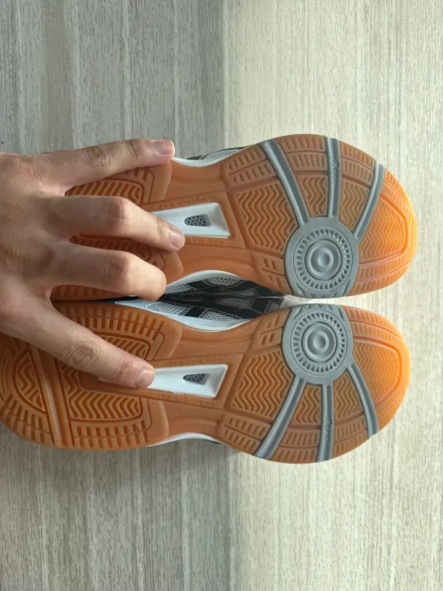 フレンチテリー リー