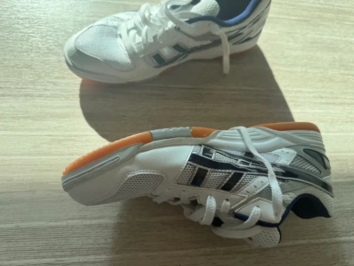 フレンチテリー リー