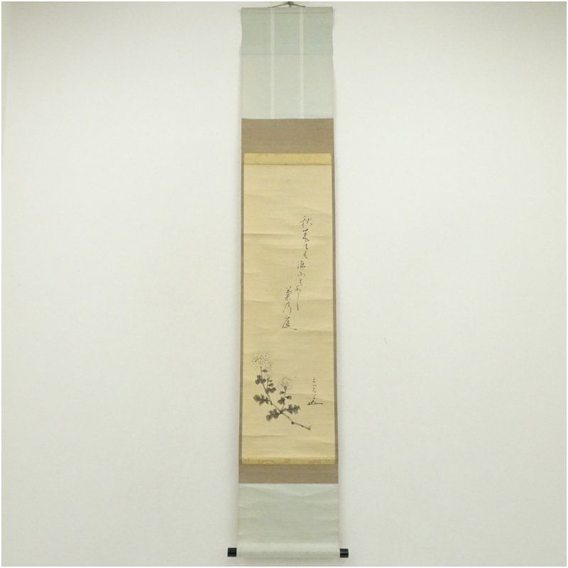 堀内家十代 宗完 不仙斎筆 俳句 秋来ても 菊画賛 肉筆紙本掛軸 共箱 掛け軸 床の間 書 おしゃれ 絵画 表具 芸術 茶道 年中掛け インテリア 茶掛 掛物 和室