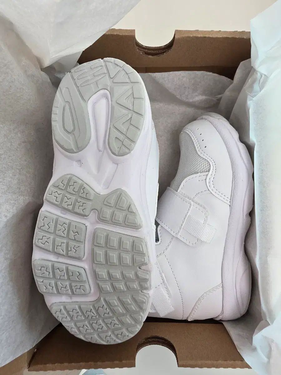 アシックス スクスク スニーカー 17 cm