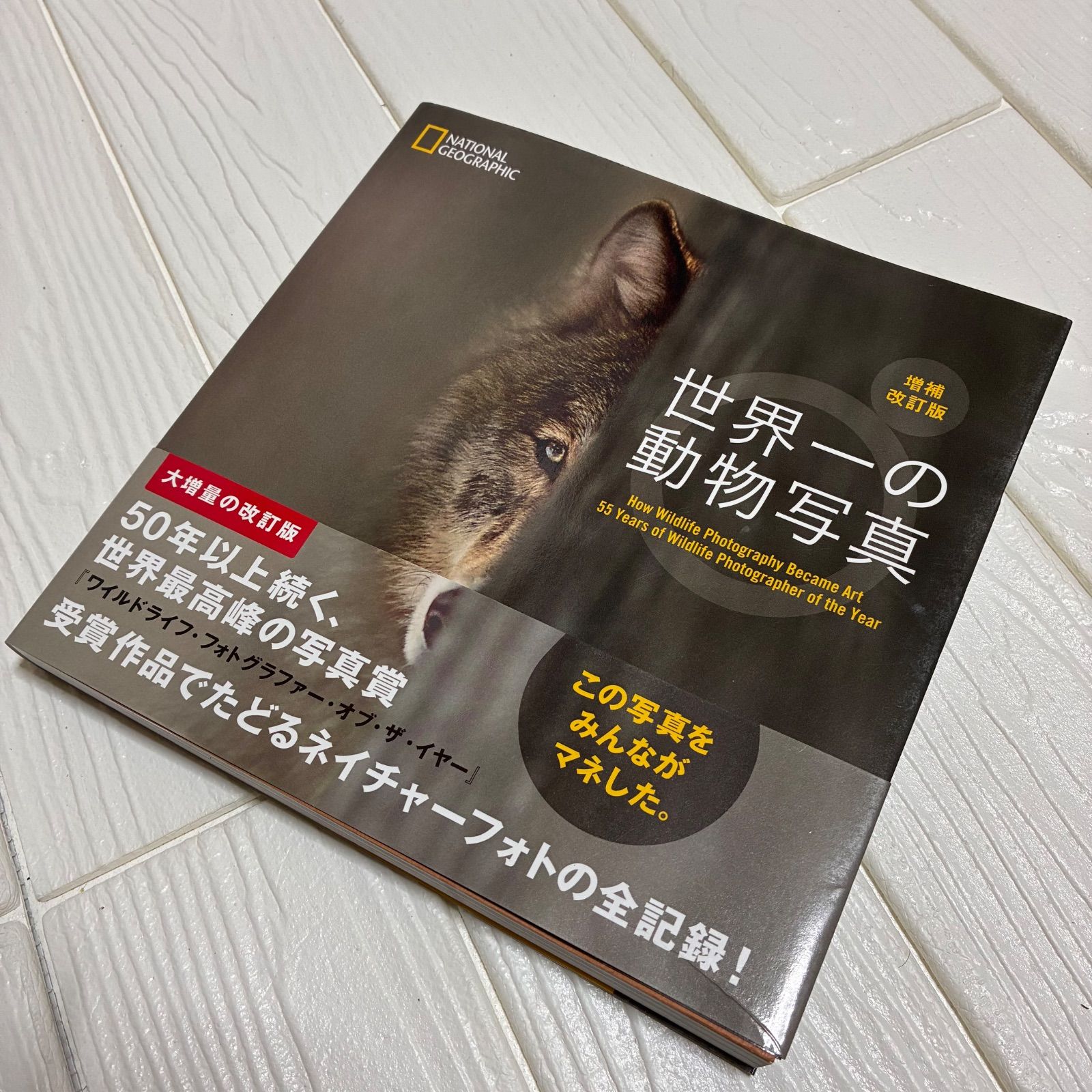 尾崎豊 山と太陽と川 尾崎豊 山と太陽と川