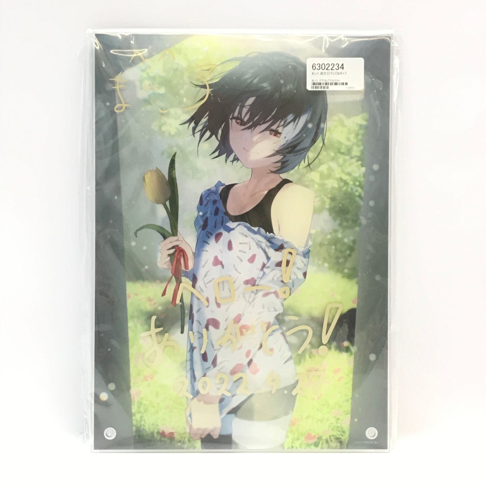 □ ANYCOLOR アクリルスタンド ましろ アクリルパネル 「バーチャル