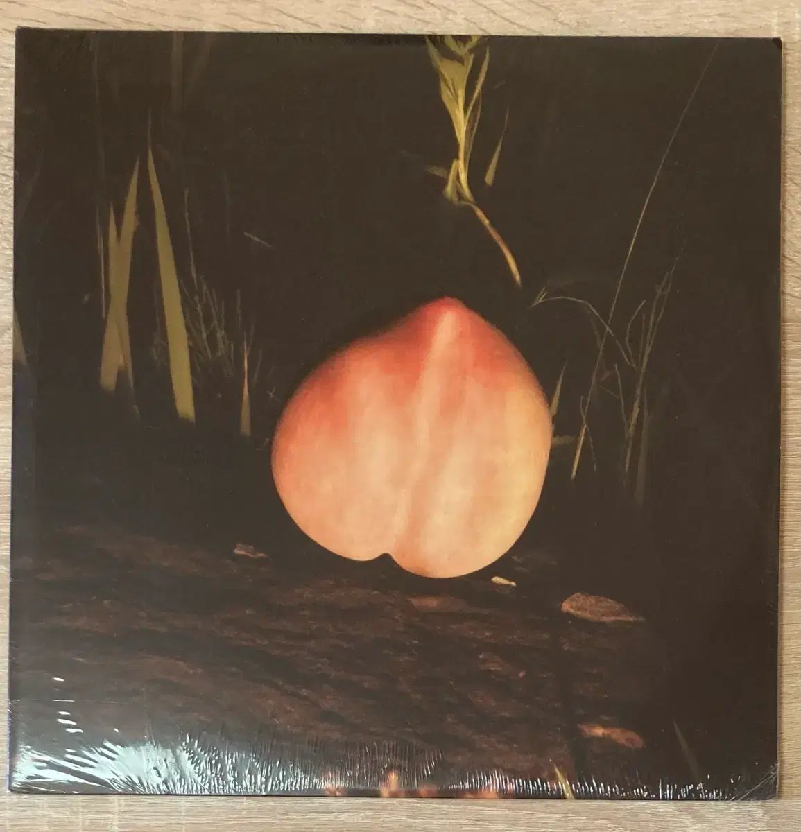 もっと モノトーンズ The Monotones LP