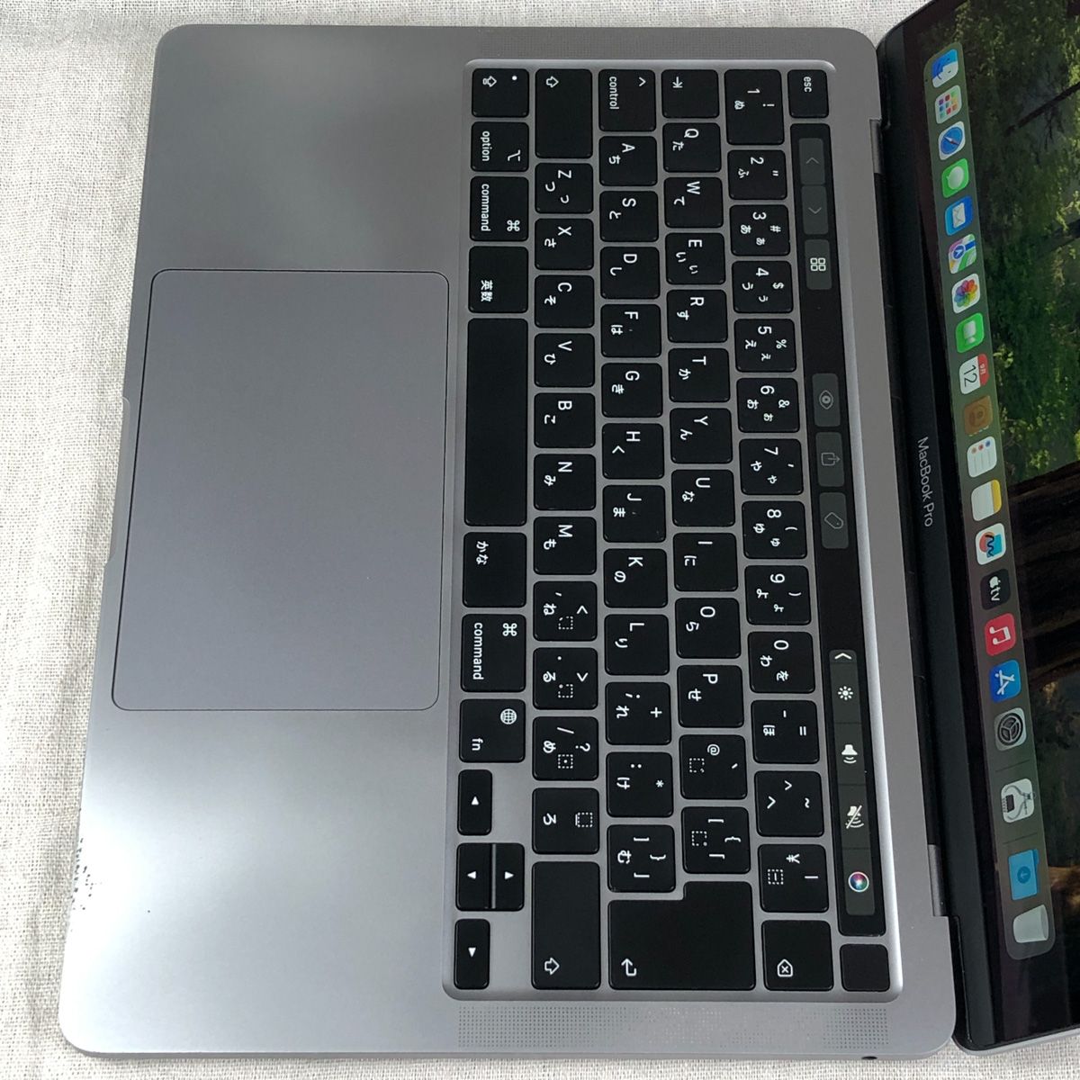 ◇ジャンク品・本体のみ◇Apple MacBook Pro (13インチ M1 2020)【M1
