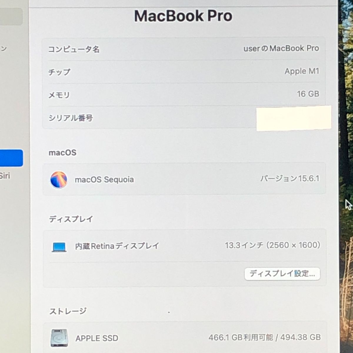 ◇ジャンク品・本体のみ◇Apple MacBook Pro (13インチ M1 2020)【M1
