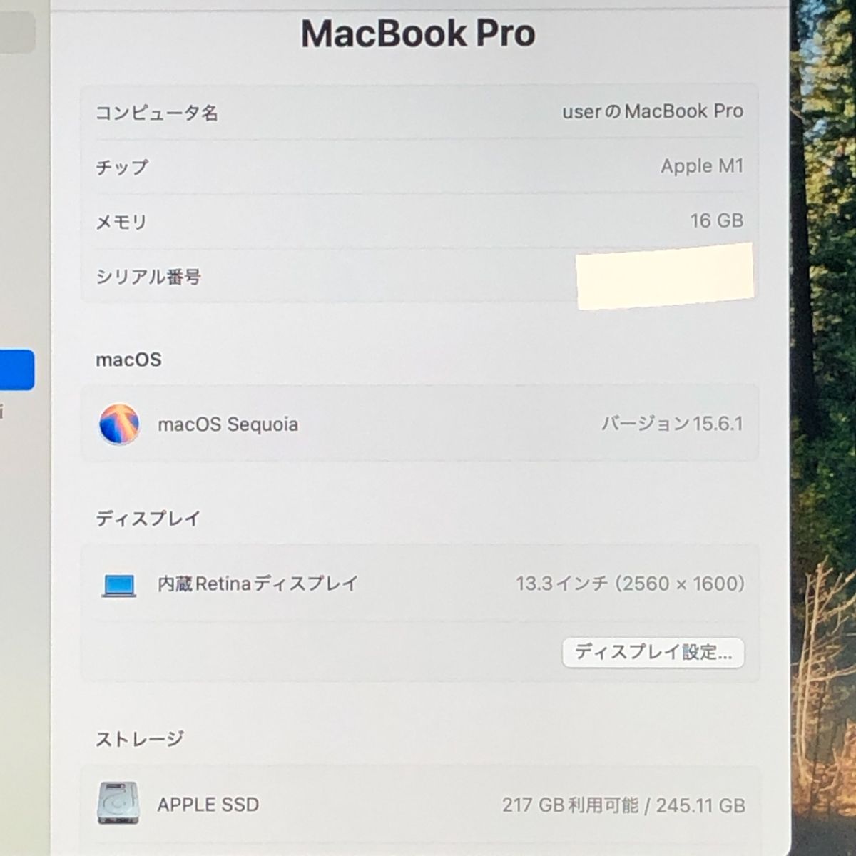 品 本体のみ Apple MacBook Pro 13インチ M 1 2020 1チップ メモリ16 GB 画面表示色異常 A 2338 EMC 3578 MB JUNK 251905 372718