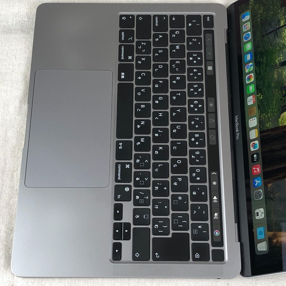 ◇ジャンク品・本体のみ◇Apple MacBook Pro (13インチ M1 2020)【M1