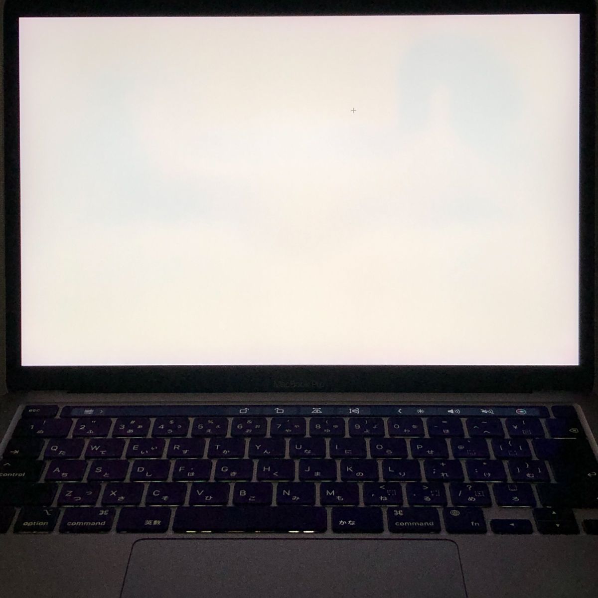 ジャンク品・本体のみApple MacBook Pro (13インチ M1 2020)【M1チップ 