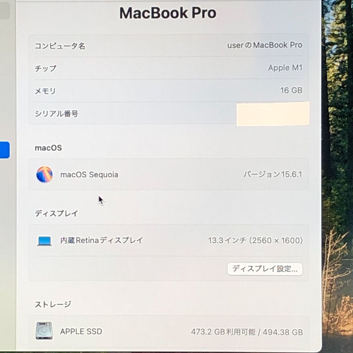 品 本体のみ Apple MacBook Pro 13インチ M 1 2020 1チップ メモリ16 GB 画面表示色異常 A 2338 EMC 3578 MB JUNK 251906 379299