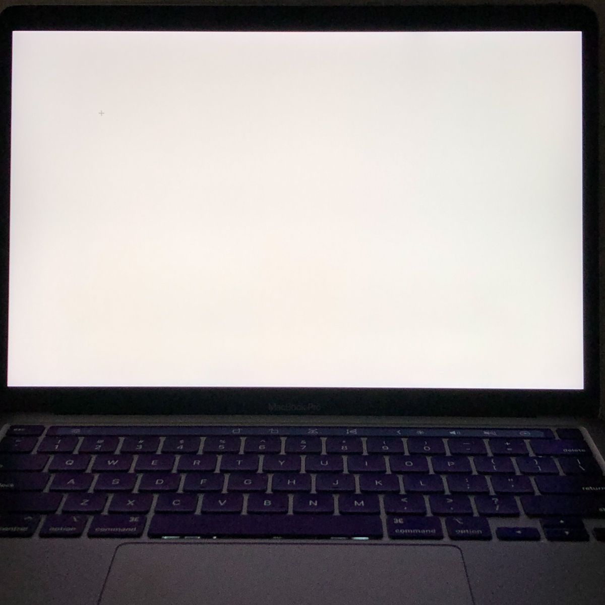 もー様専用◇ジャンク品◇Apple MacBook Pro (13インチ M1 2020)【M1