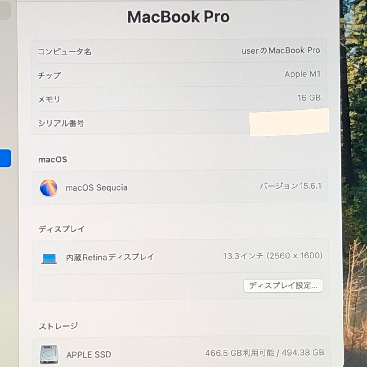 品 本体のみ Apple MacBook Pro 13インチ M 1 2020 1チップ メモリ16 GB 画面表示色異常 A 2338 EMC 3578 MB JUNK 251909 379320
