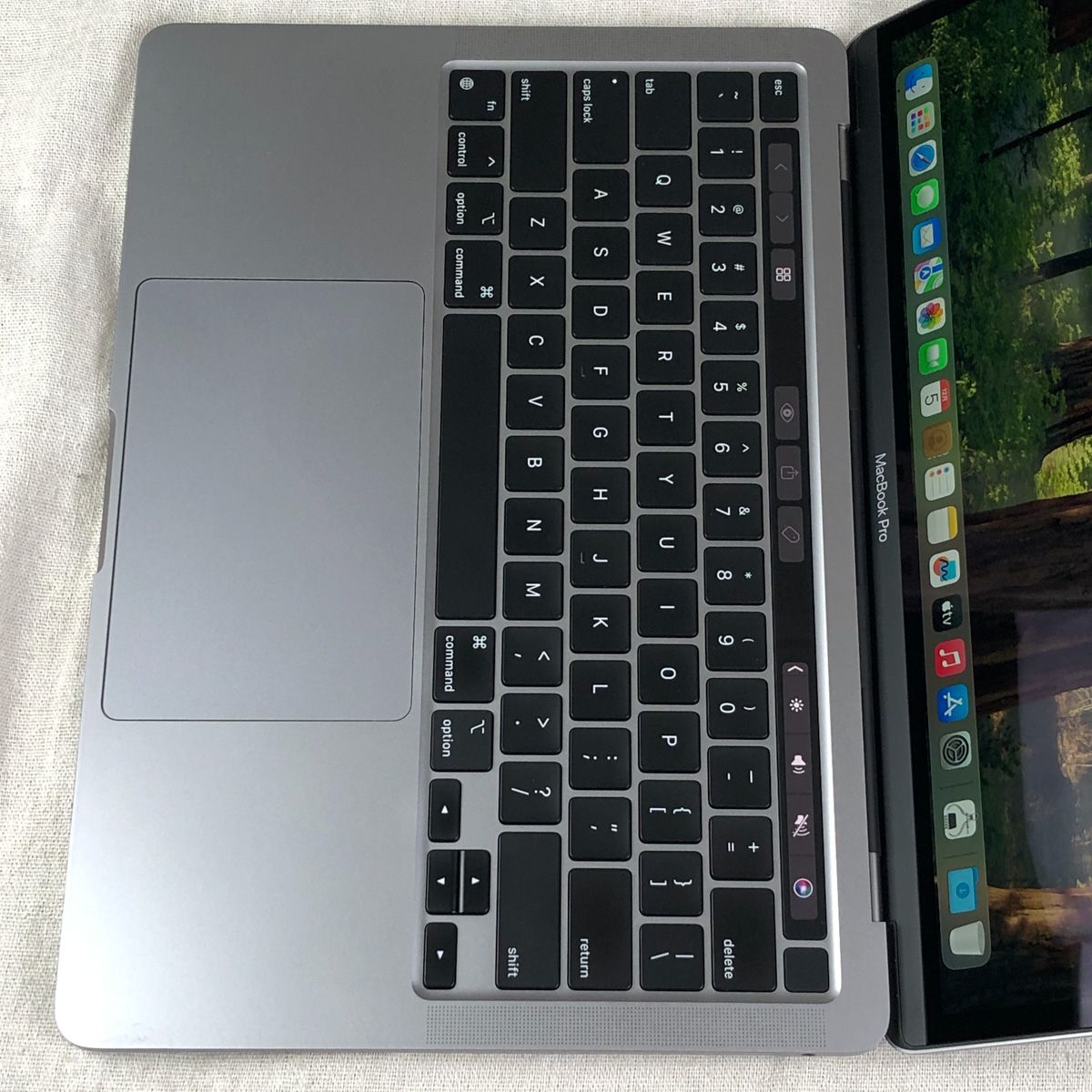もー様専用◇ジャンク品◇Apple MacBook Pro (13インチ M1 2020)【M1