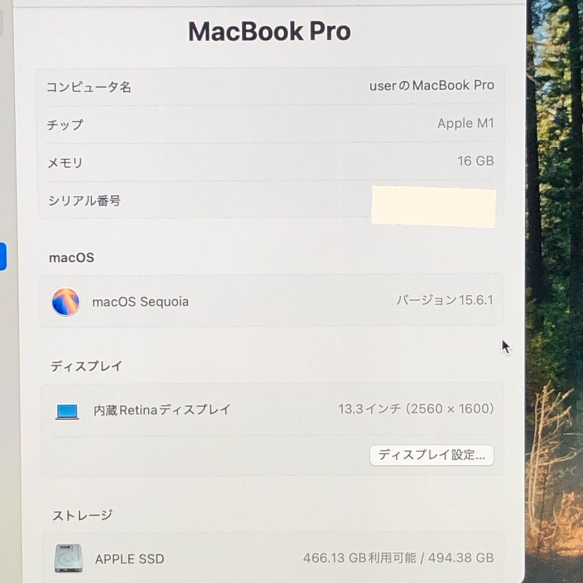 品 本体のみ Apple MacBook Pro 13インチ M 1 2020 1チップ メモリ16 GB 画面表示色異常 A 2338 EMC 3578 MB JUNK 251910 379331