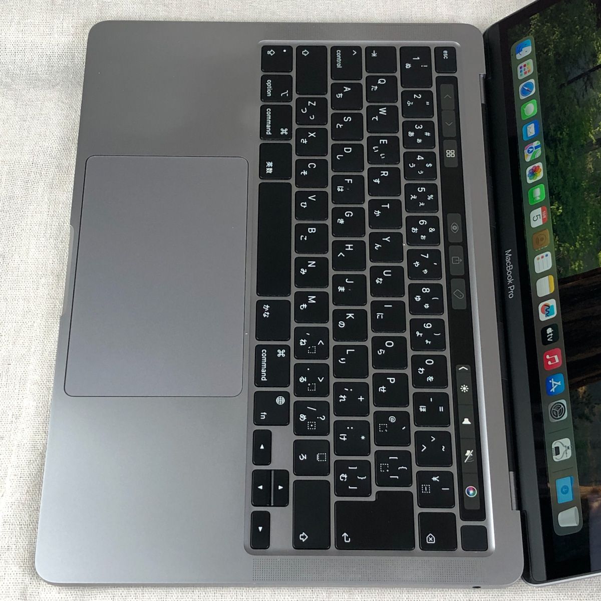 ◇ジャンク品・本体のみ◇Apple MacBook Pro (13インチ M1 2020)【M1