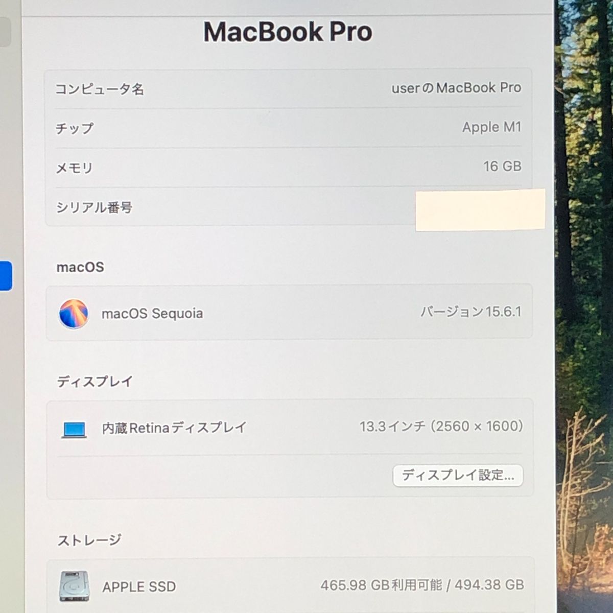 品 本体のみ Apple MacBook Pro 13インチ M 1 2020 1チップ メモリ16 GB 画面表示色異常 A 2338 EMC 3578 MB JUNK 251912 379322