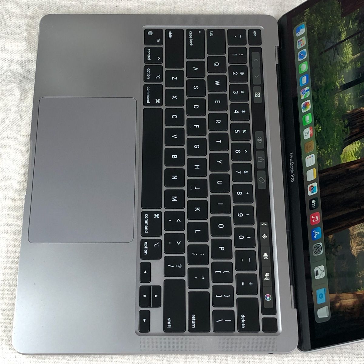 もー様専用◇ジャンク品◇Apple MacBook Pro (13インチ M1 2020)【M1