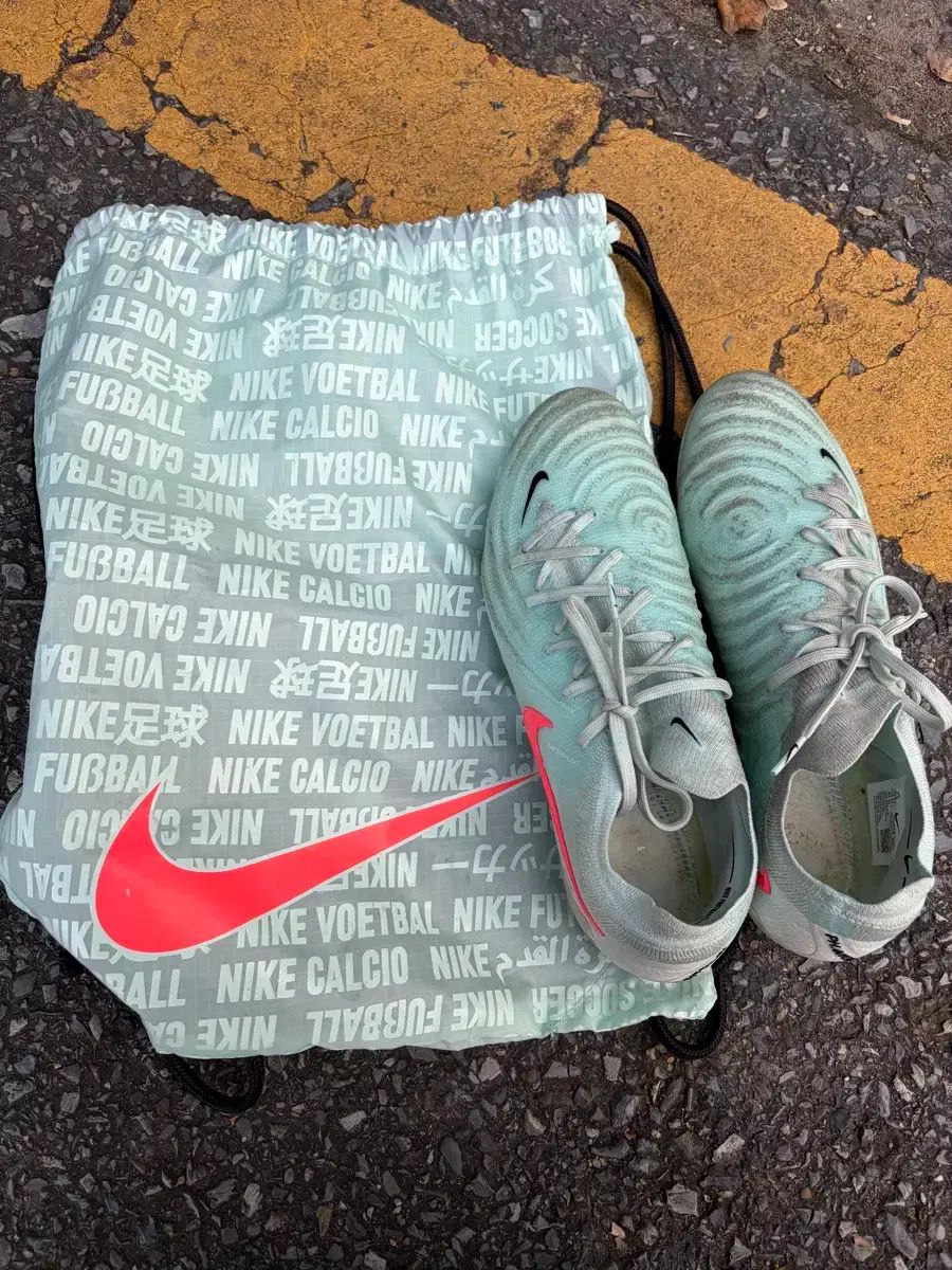 ニューヨークキャッツ2 のらネコ兄弟のはらぺこ放浪記 旺文社ジュニア