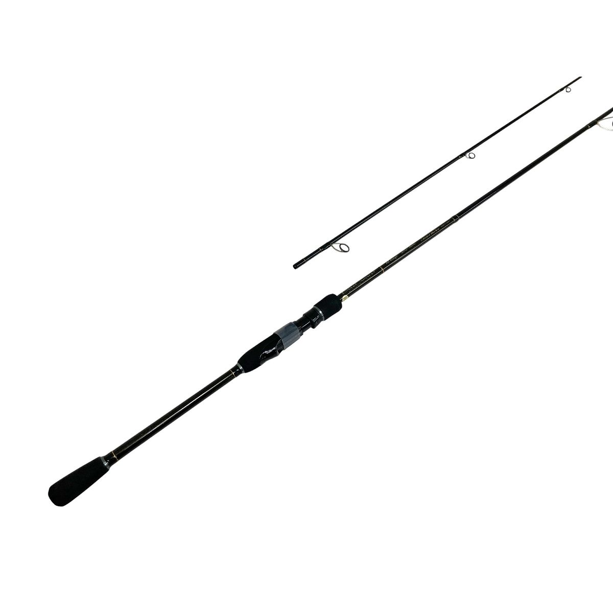 エギング シーバス