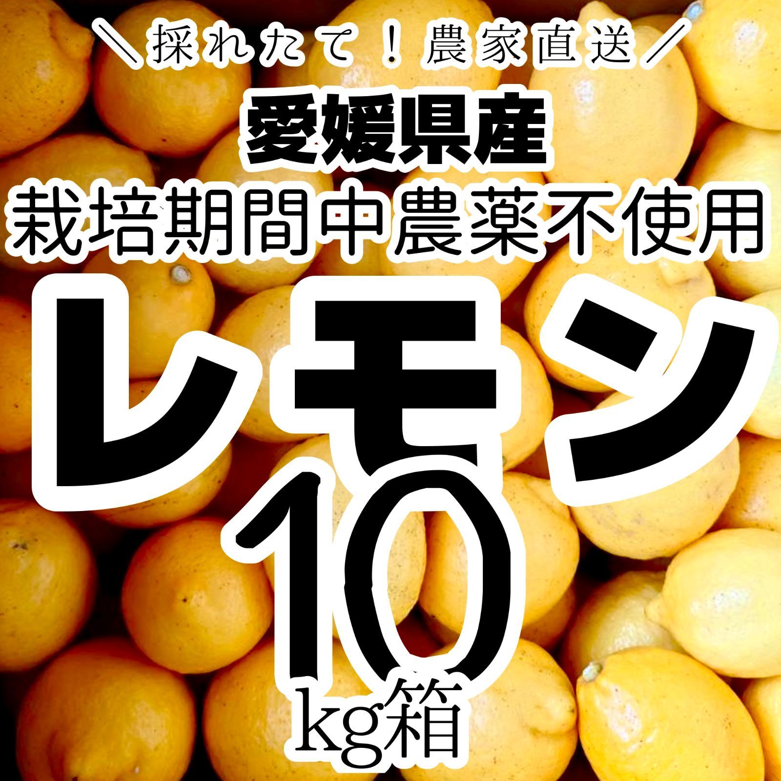 農薬不使用 国産レモン10kg 愛媛直送 - メルカリ