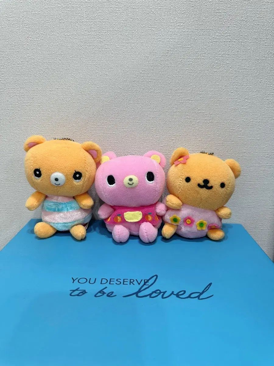 さらみさん専用 homalomena