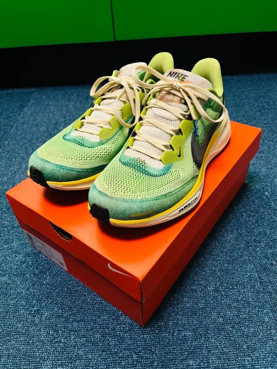 270 NIKE ペガサス41 VIVID GREEN